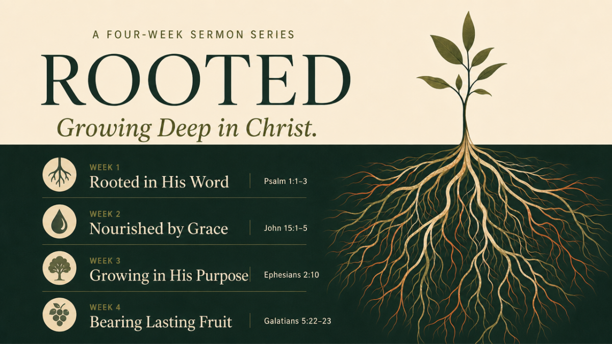 Rooted sermon series graphic